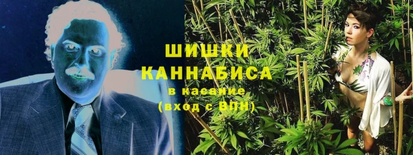ALPHA PVP Ельня
