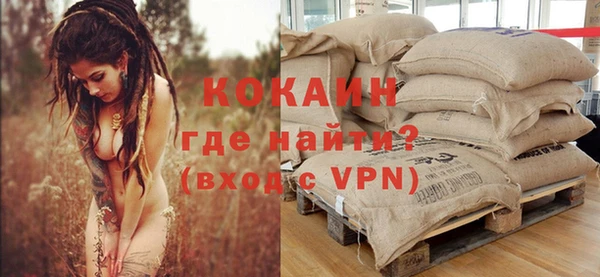 ALPHA PVP Ельня