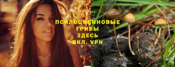 МДМА Елабуга