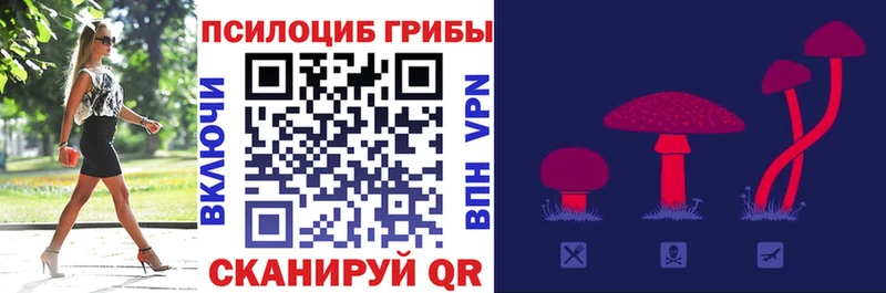 Псилоцибиновые грибы прущие грибы  Кадников 